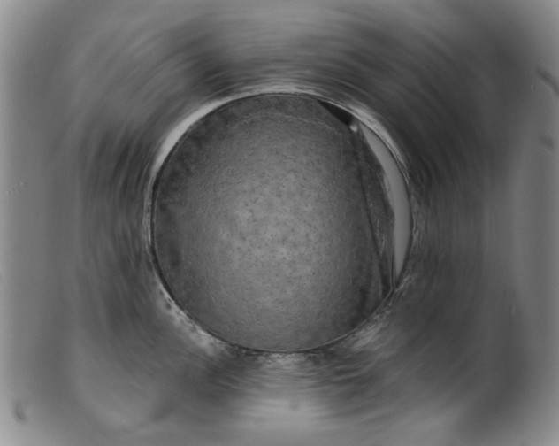 X0000099421148200805231623
