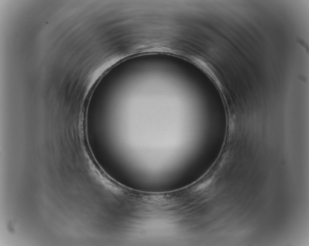 X0000099421149200805231623