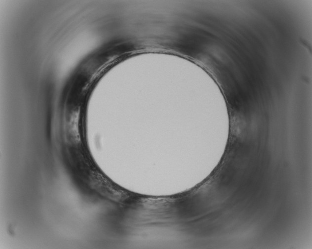 X0000099421150200805231623