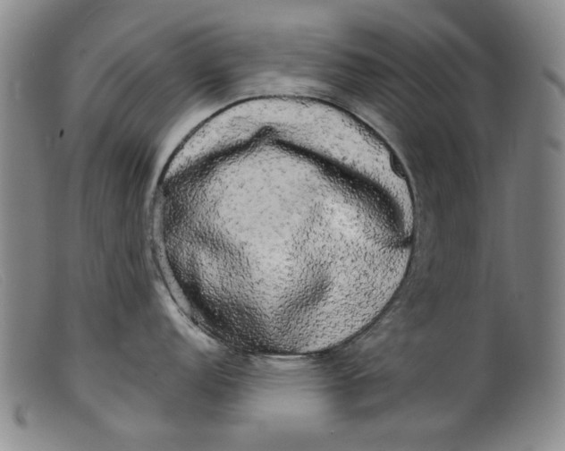 X0000099421152200805231623