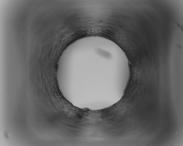 X0000099421153200805231622