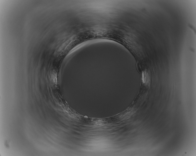 X0000099421155200805231622