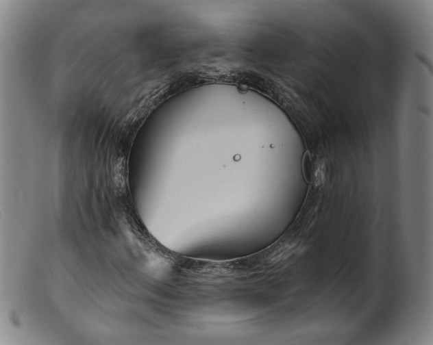 X0000099421156200805231622