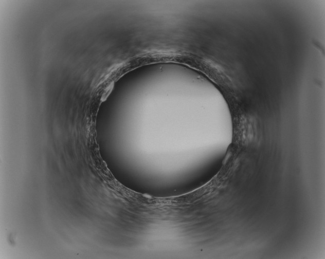X0000099421157200805231622