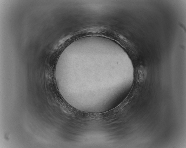 X0000099421158200805231622
