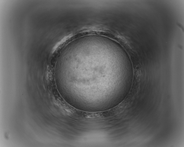 X0000099421159200805231622