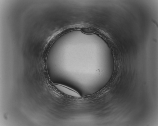 X0000099421160200805231622