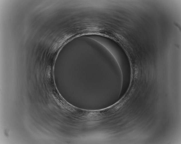 X0000099421161200805231622