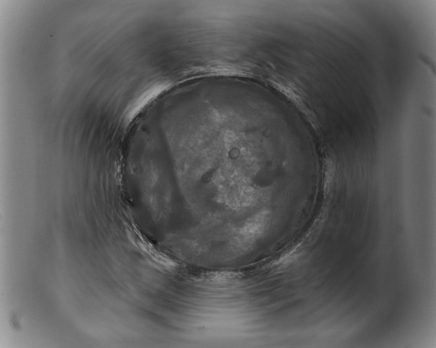 X0000099421163200805231622