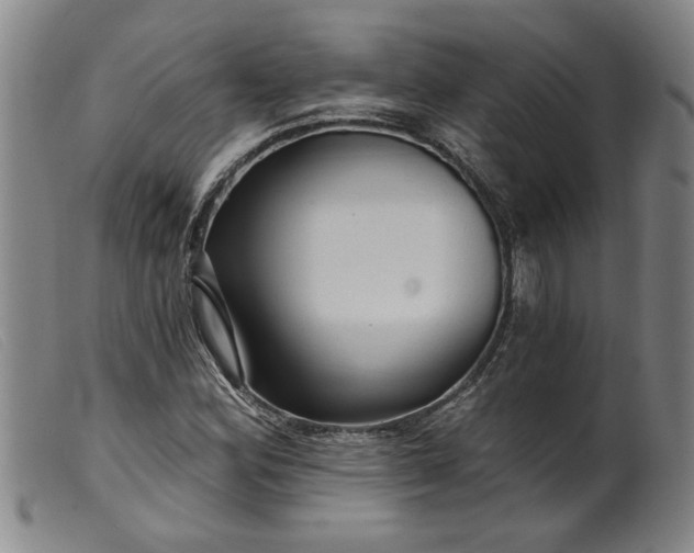 X0000099421164200805231622