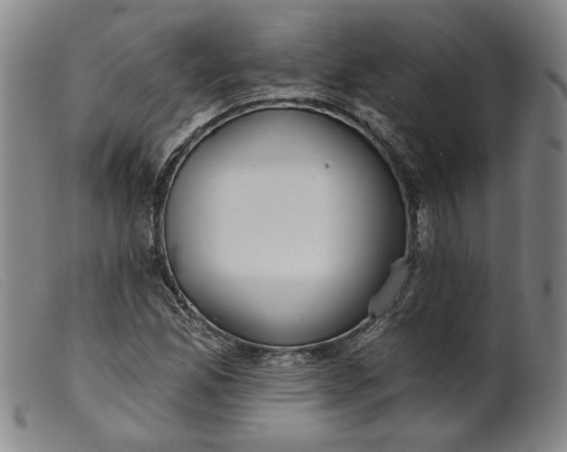 X0000099421165200805231622