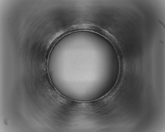 X0000099421166200805231622