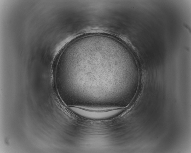 X0000099421167200805231622