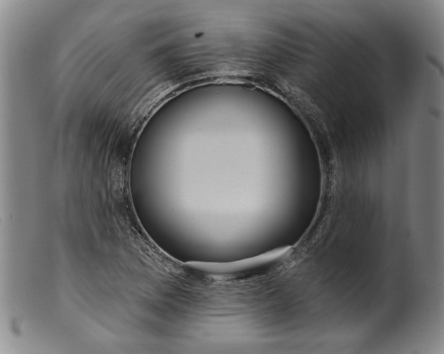 X0000099421169200805231622