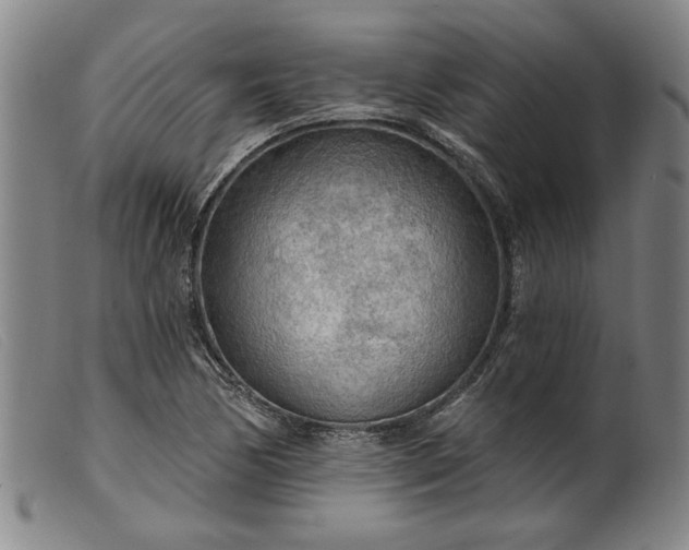 X0000099421170200805231622