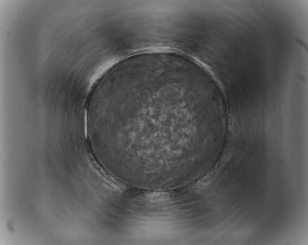 X0000099421171200805231622
