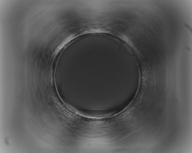 X0000099421173200805231622