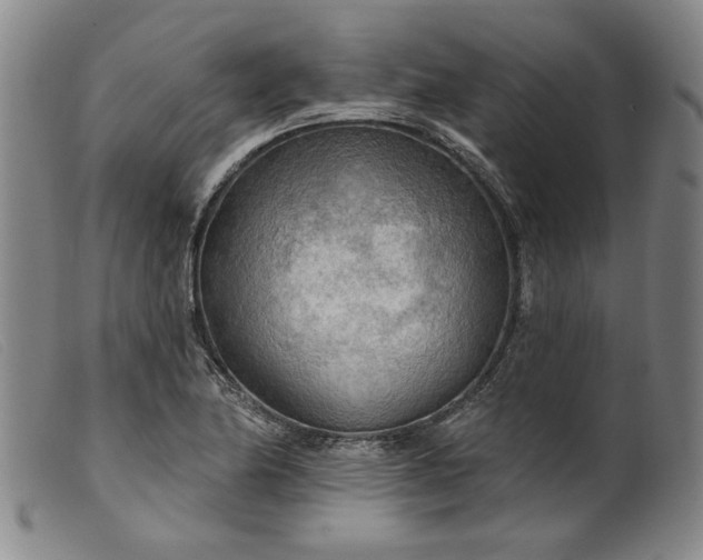 X0000099421174200805231622
