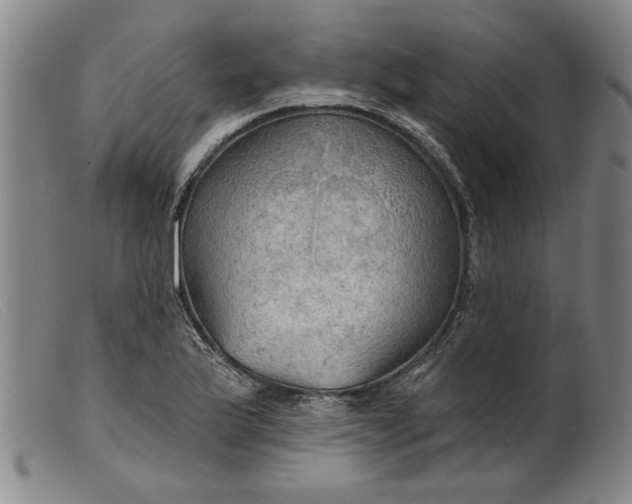 X0000099421175200805231622