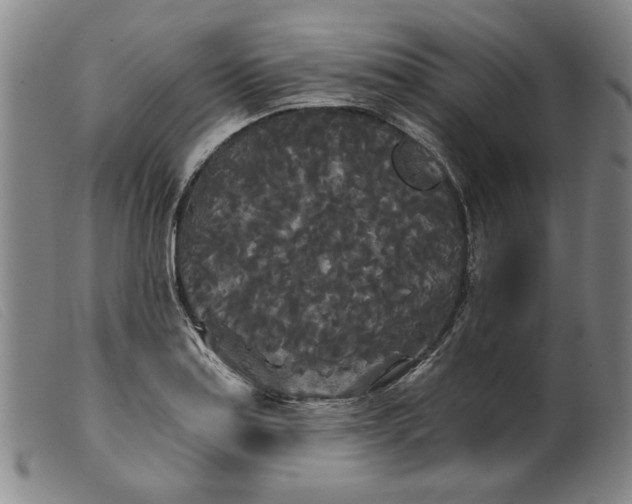 X0000099421179200805231622