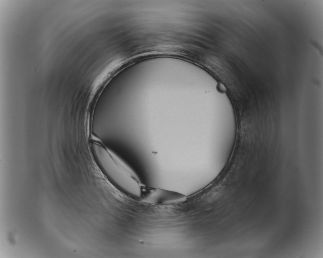 X0000099421180200805231622