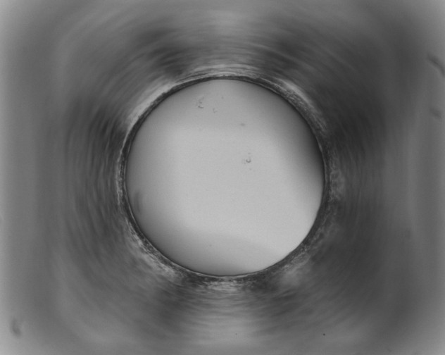 X0000099421182200805231622