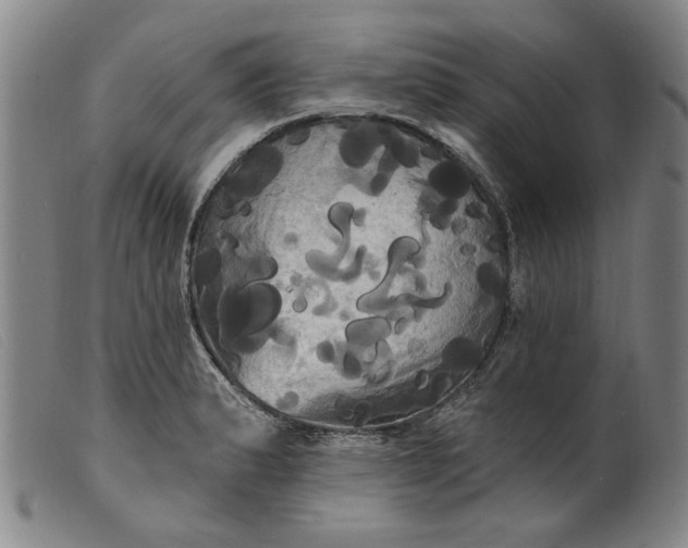 X0000099421183200805231622