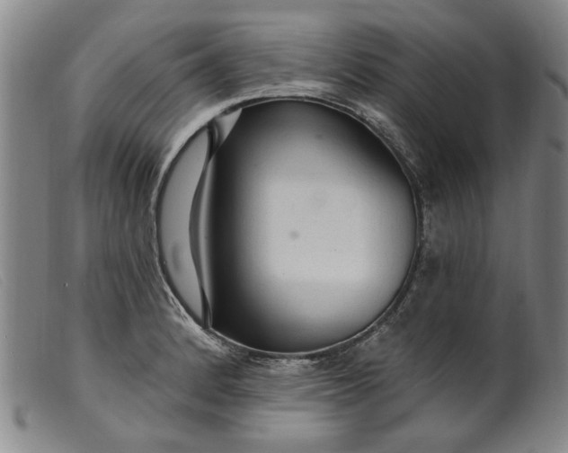 X0000099421184200805231621