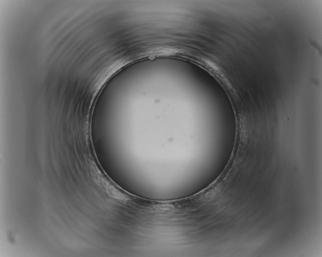 X0000099421186200805231621