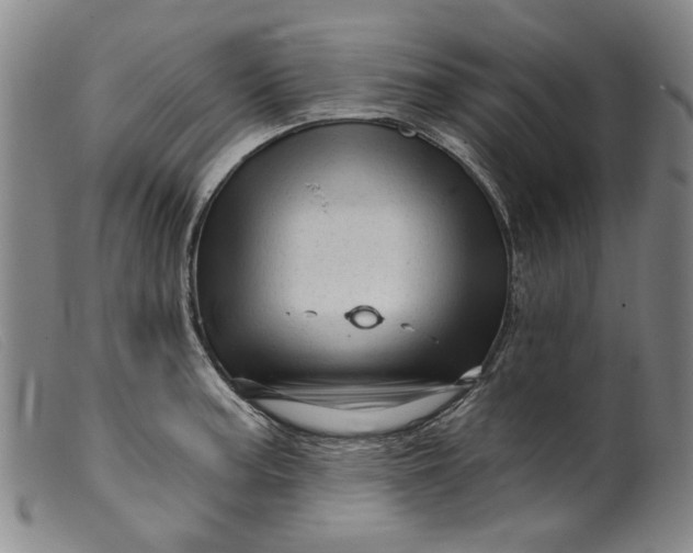 X0000099421187200805231621