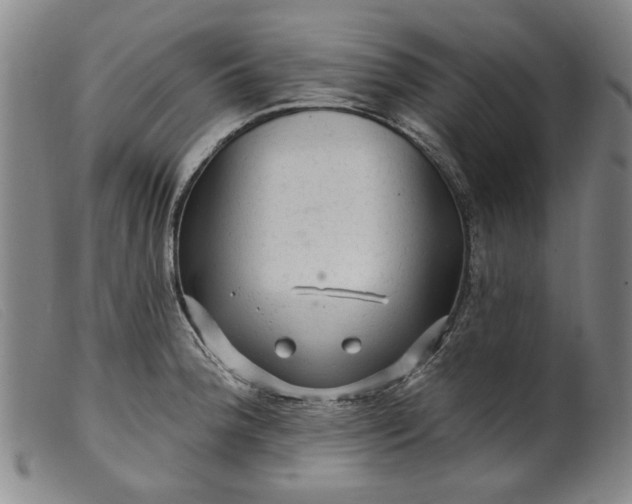 X0000099421188200805231621