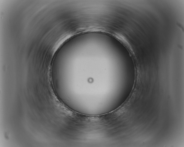 X0000099421190200805231621
