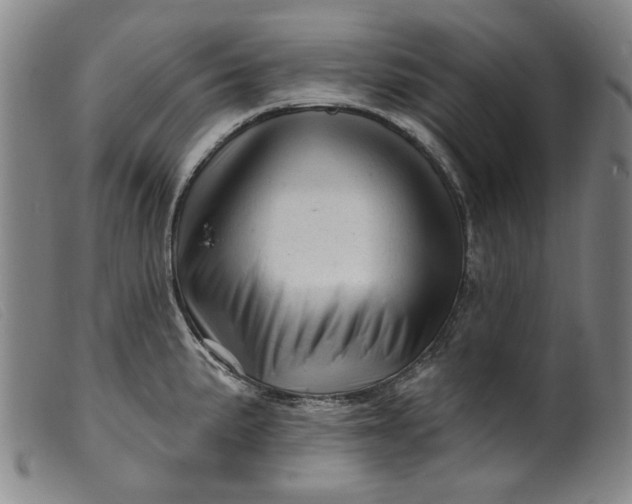 X0000099421191200805231621
