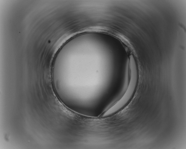 X0000099421192200805231621