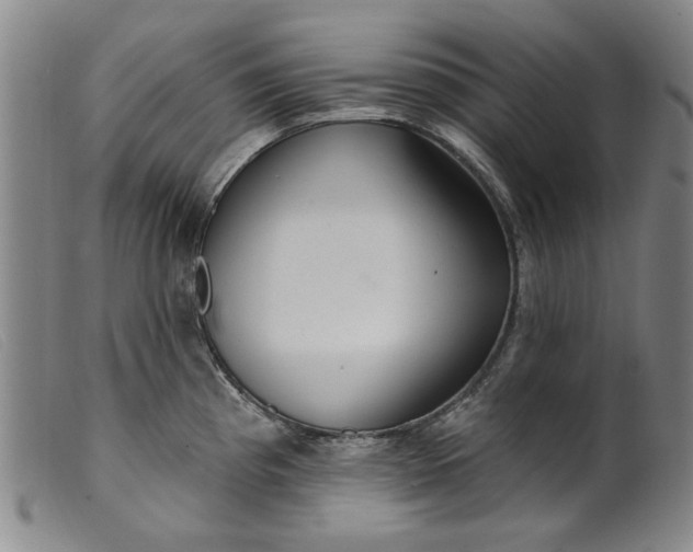 X0000099421193200805231621