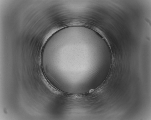 X0000099421195200805231621