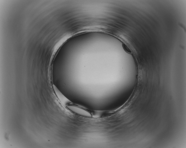 X0000099421196200805231621