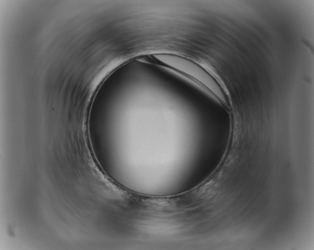 X0000099421197200805231621