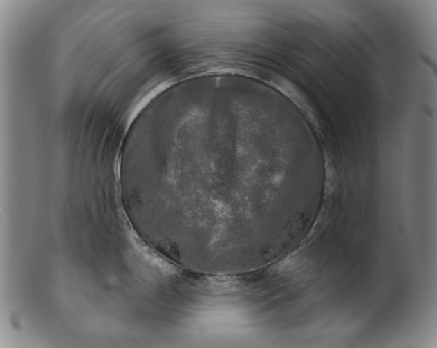 X0000099421198200805231621