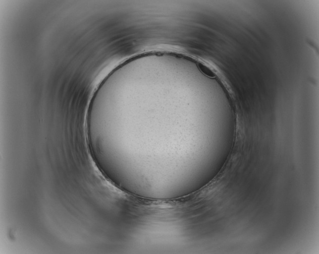 X0000099421199200805231621