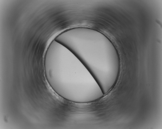 X0000099421200200805231621