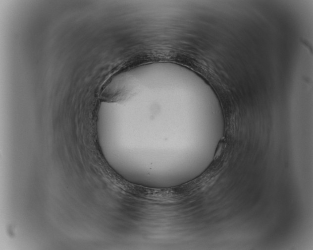 X0000099421201200805231620