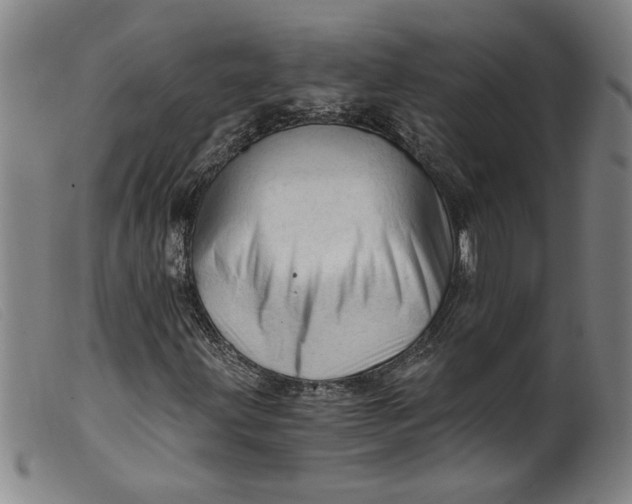 X0000099421203200805231620