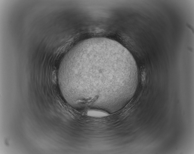 X0000099421204200805231620