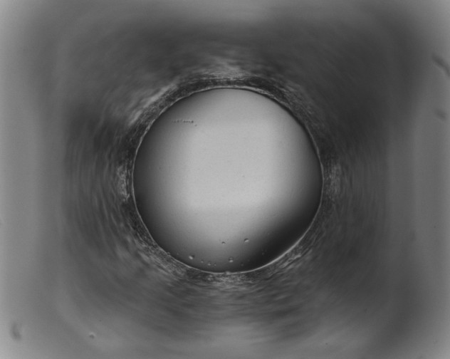 X0000099421205200805231620