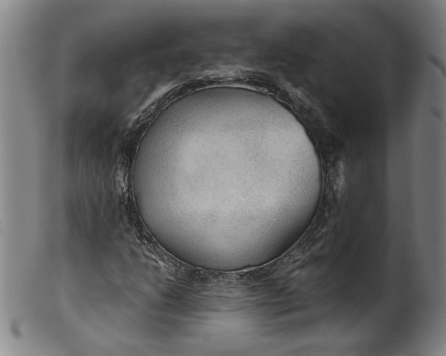 X0000099421206200805231620