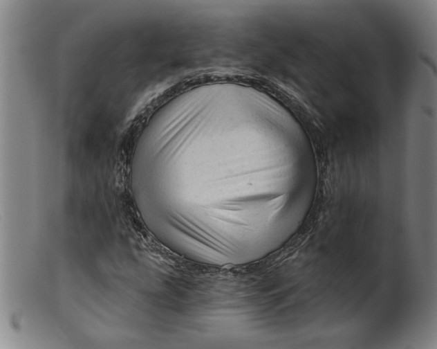 X0000099421207200805231620