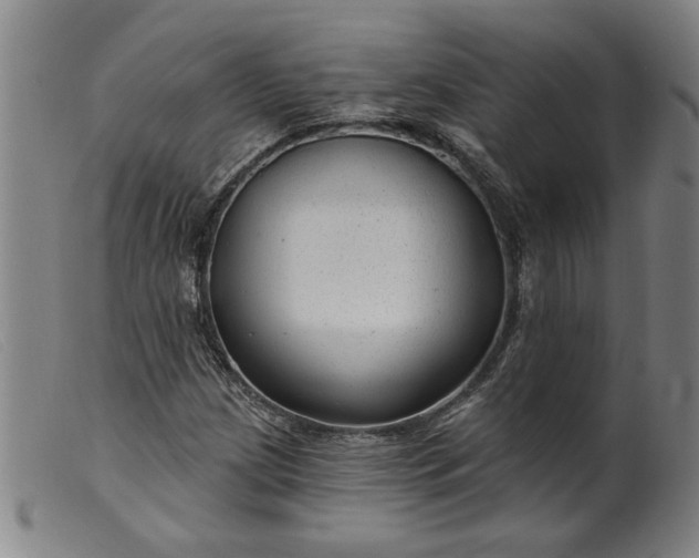 X0000099421209200805231620