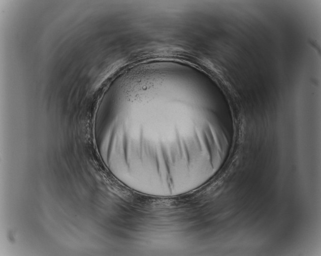 X0000099421211200805231621