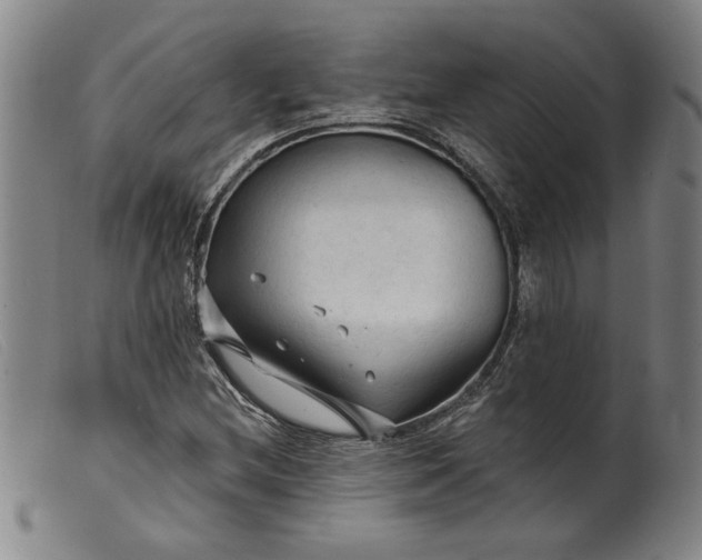 X0000099421212200805231621